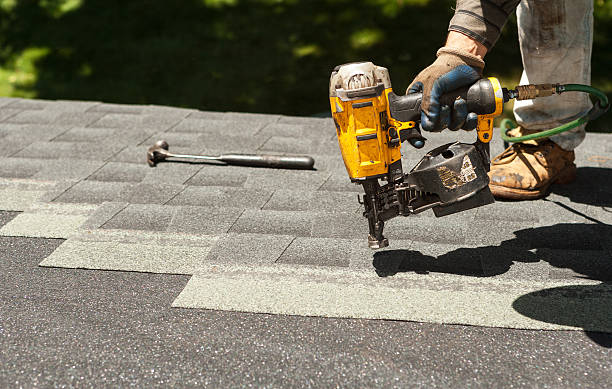 Best Roof Moss and Algae Removal  in Berry College, GA